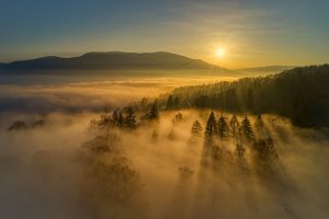 Goldener Nebel