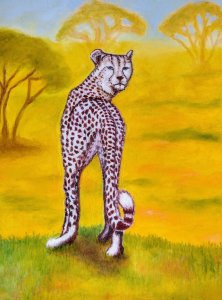 Gepard