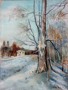 V zimě u Žehrovic