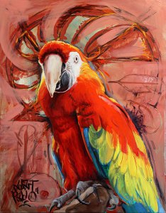 Papoušek 2