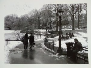 A Central Parkban 2