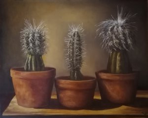 Pocta Karlu Čapkovi- O kaktusech