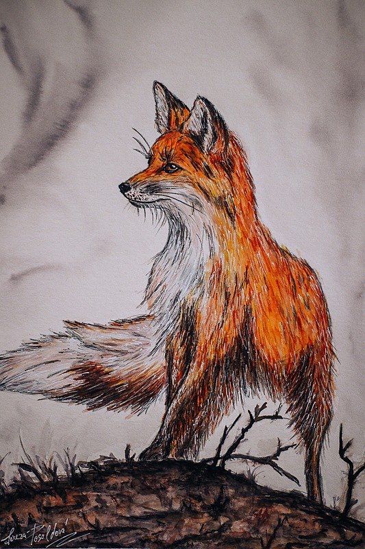 A raposa na caça  ORIGINAL GΑᒪᒣΕRY