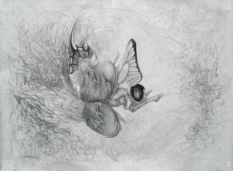 V kukle (A bábban), Barbora Paulovičová — Papír, 77 × 56 cm
