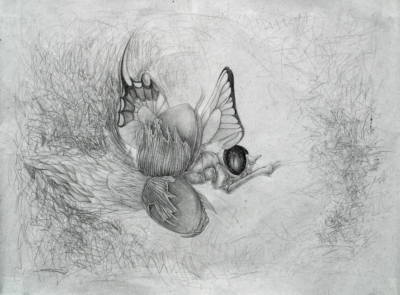 V kukle, Barbora Paulovičová — Matita, Surrealismo, Carta — 77 × 56 cm