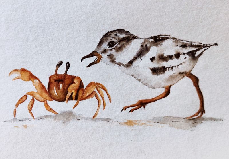 Hra na honěnou, Denisa Pavlíčková — Papír, 15 × 10 cm