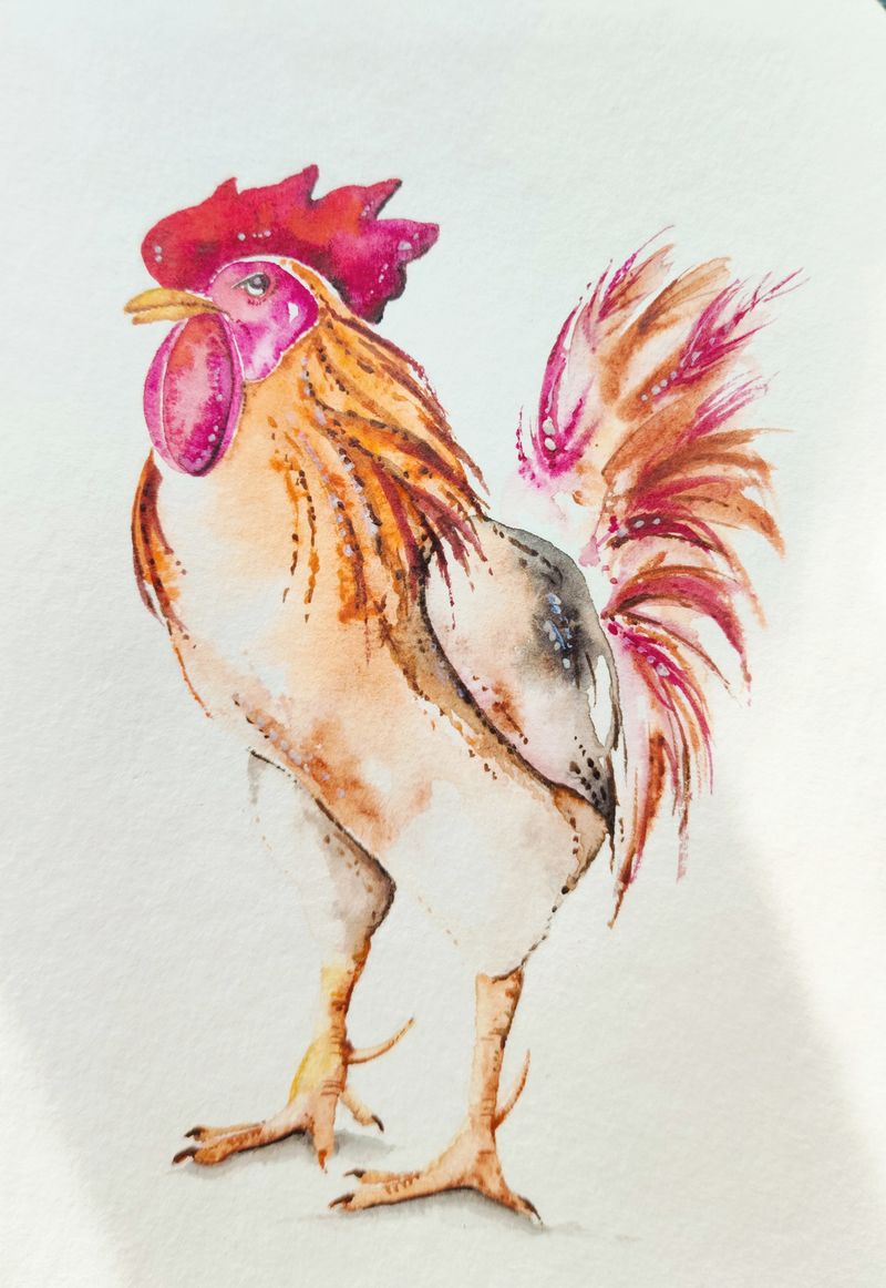 Pyšný kohout, Denisa Pavlíčková — Papír, 10 × 15 cm