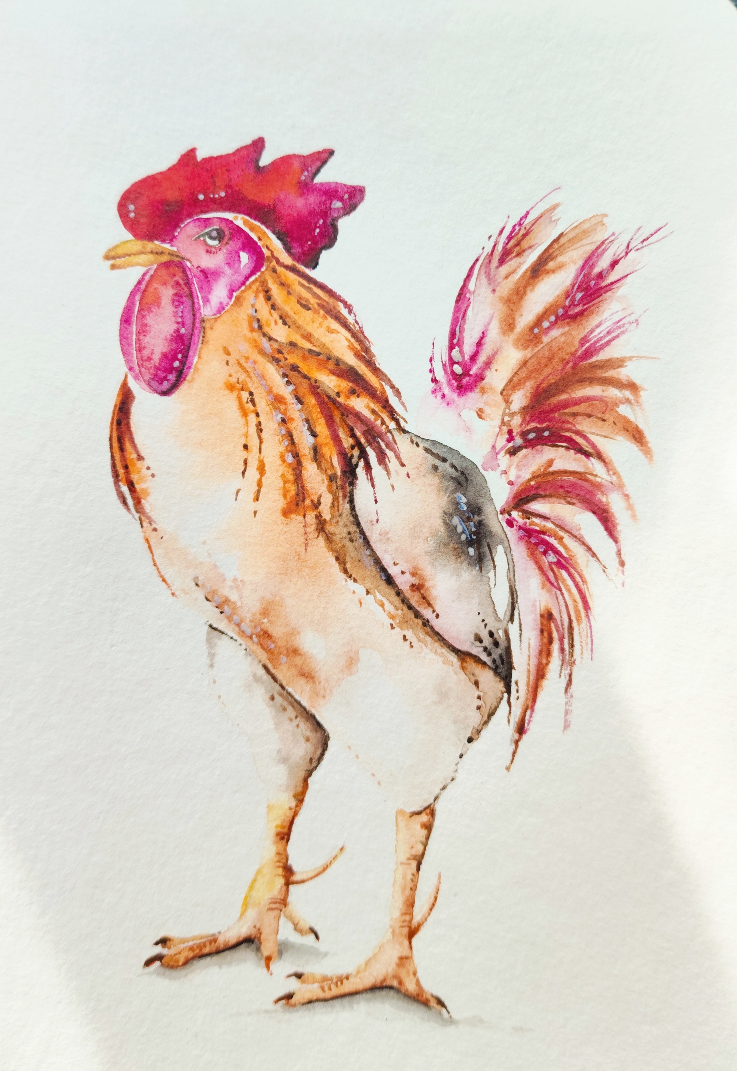 Pyšný kohout, Denisa Pavlíčková — Akvarel, Zoologický, Papír — 10 × 15 cm