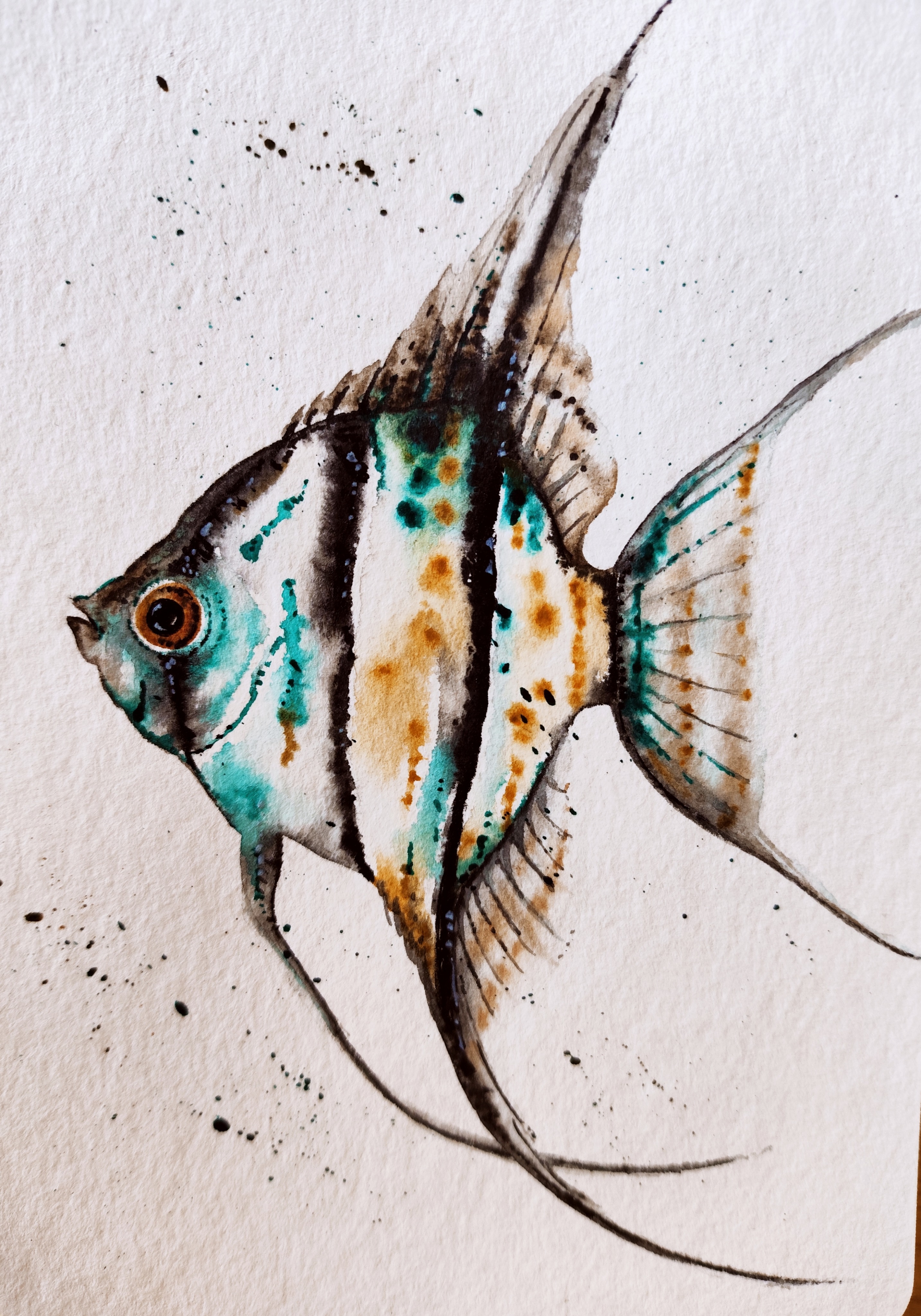 Skalár, Denisa Pavlíčková — Watercolor, Zoological, Paper — 10 × 15 cm