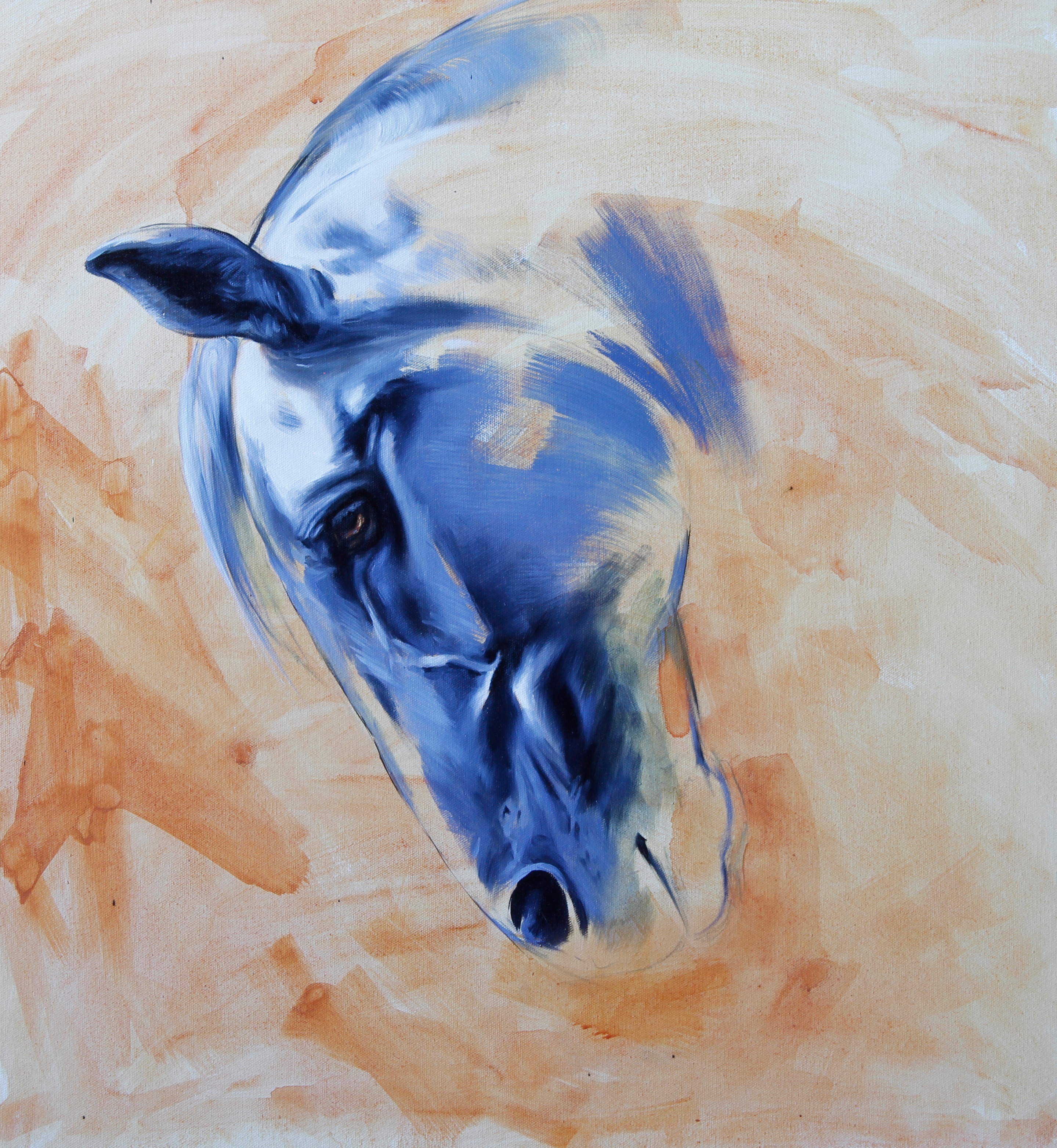 Koňská esence, Marie Madej — Oil Painting, Realism, Canvas — 60 × 65 cm