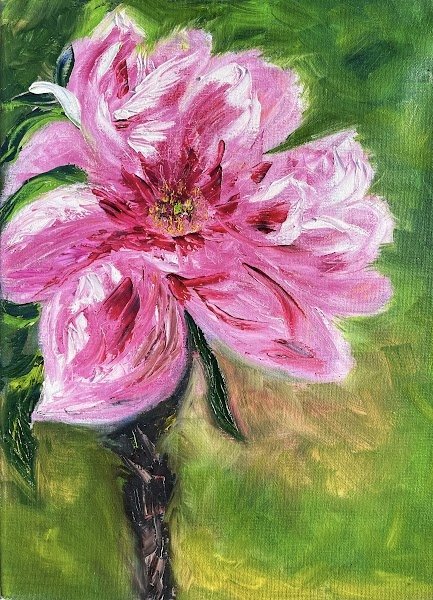 Paeonia suffruticosa, Omnia — Olajfestmény, Impresszionizmus, Vászon — 30 × 40 cm