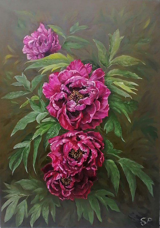 Pivoňky (Peônias), Soňa Palečková — Canvas, 50 × 70 cm