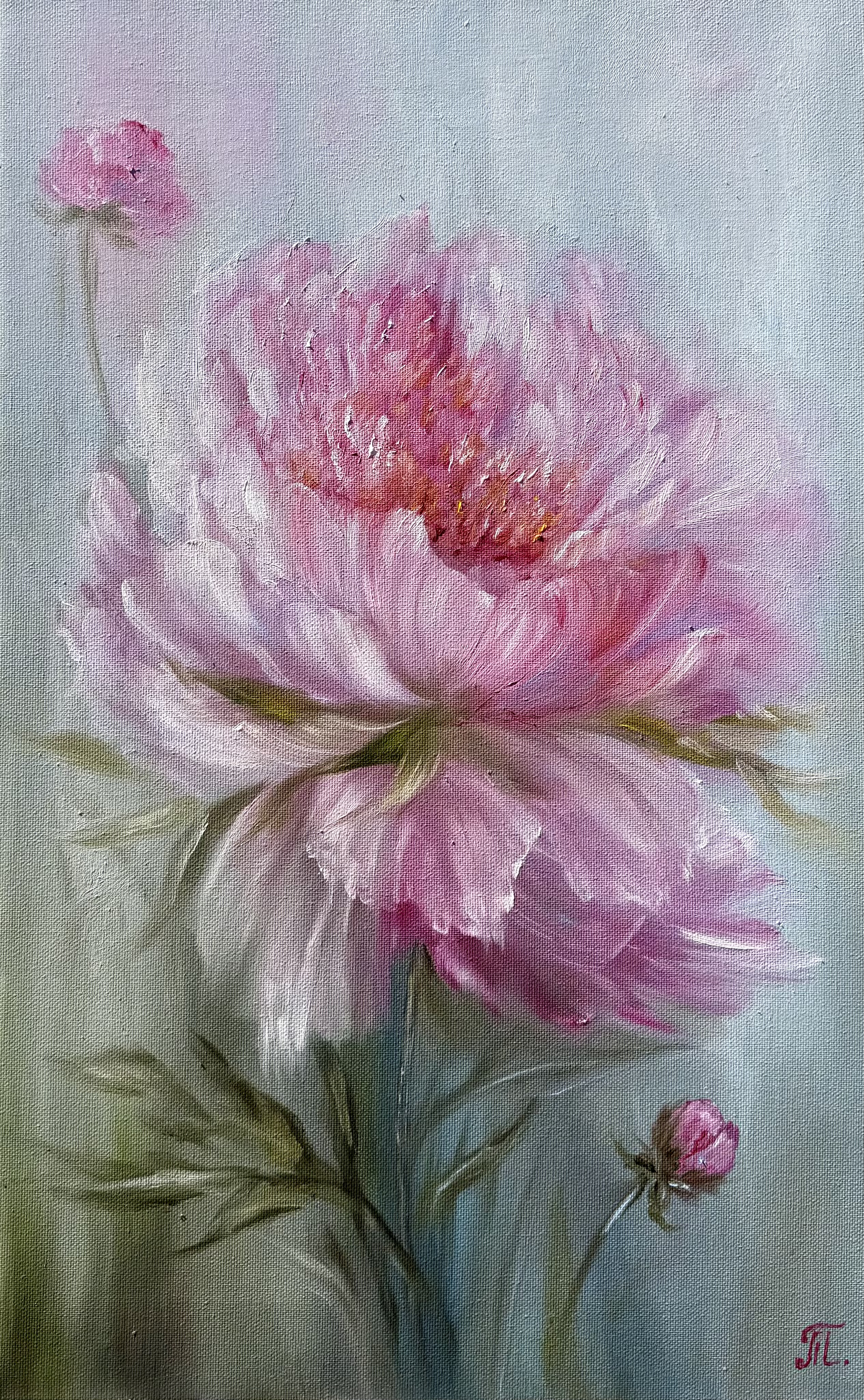Jemná pivoňka lásky, Tanja Frost — Oil Painting, Impressionism, Canvas — 35 × 55 cm