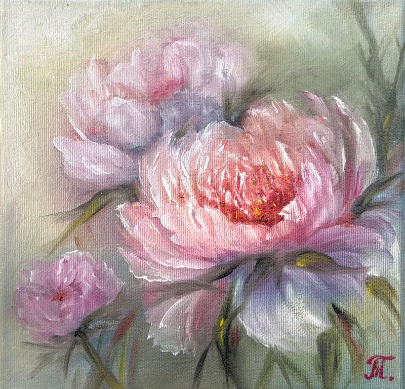 Pivoňkové potěšení, Tanja Frost — Plátno, 20 × 20 cm