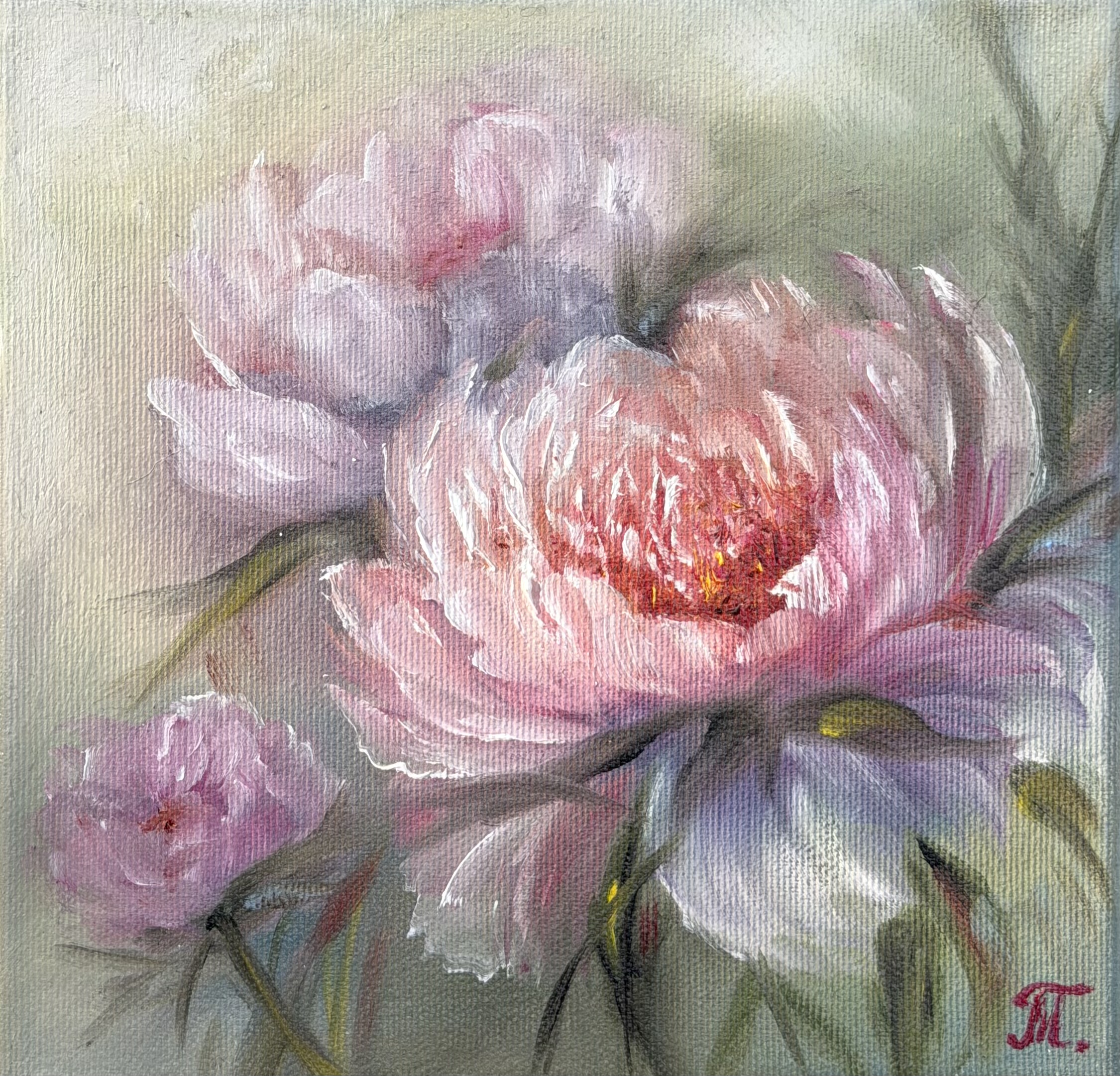 Pivoňkové potěšení, Tanja Frost — Oil Painting, Impressionism, Canvas — 20 × 20 cm