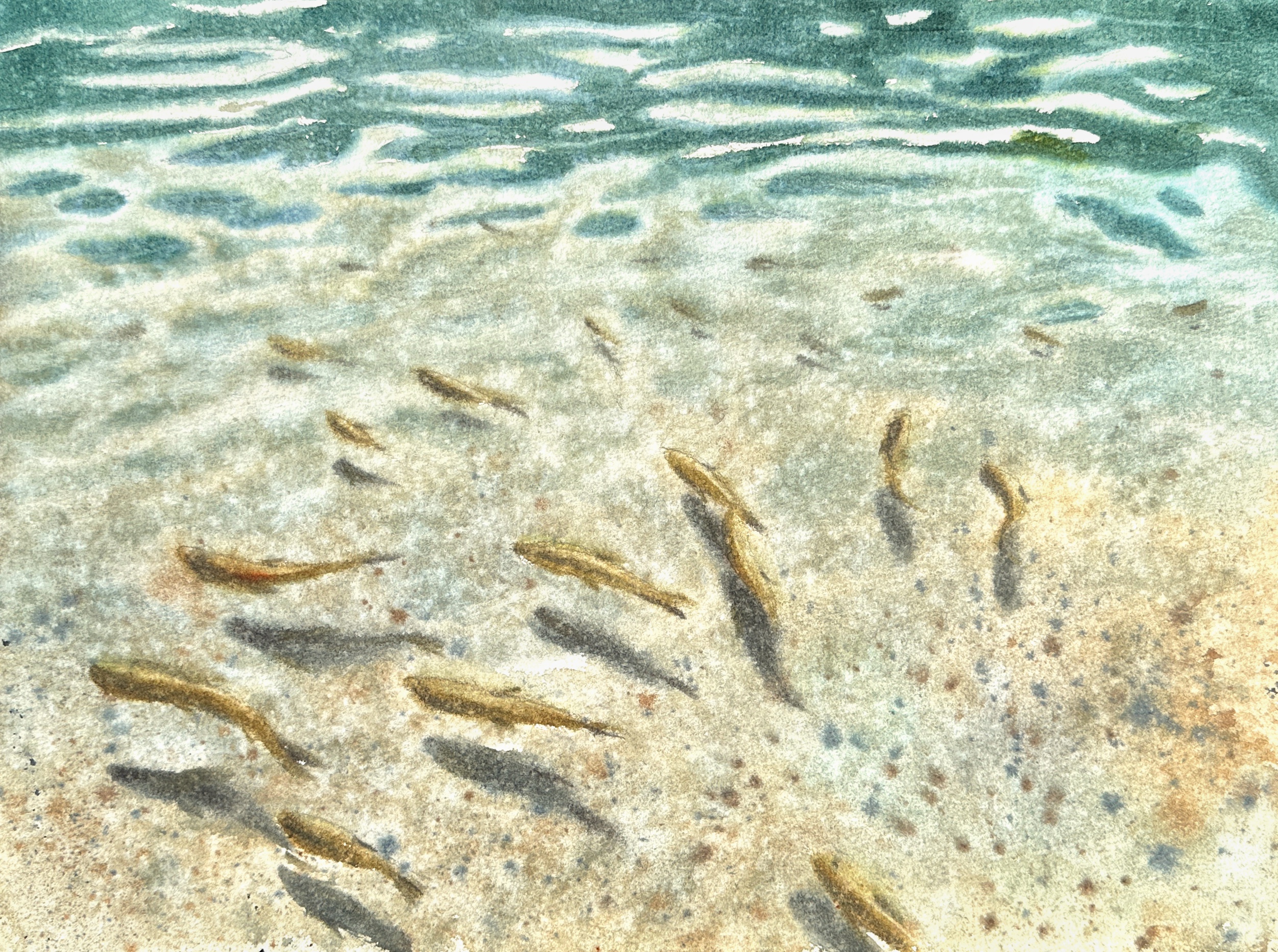 Underwater world - fishes in the lake, Slovenia, Tatiana Bykova — Watercolor, Impressionism, Paper — 38 × 28 cm