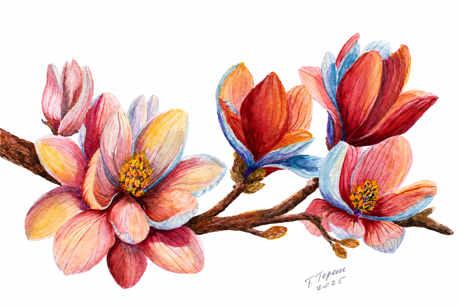 Květy magnólie na větvi, Tetiana Teresh — Watercolor, Realism, Paper — 42 × 29.7 cm
