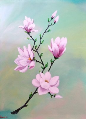 Magnolie