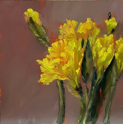 narcisy