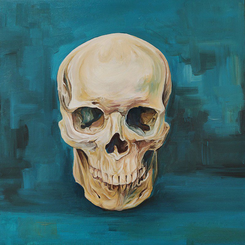Skull 1