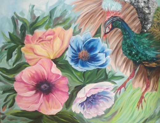 Wild peacock