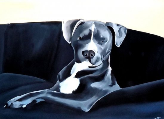 Dog