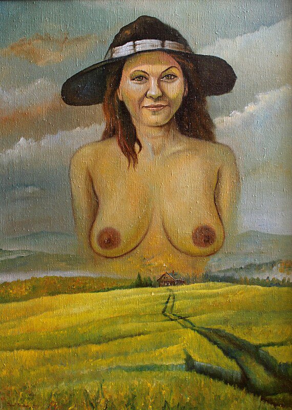 Plíce Lomnice