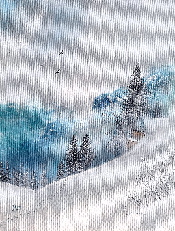 Winter Gorge