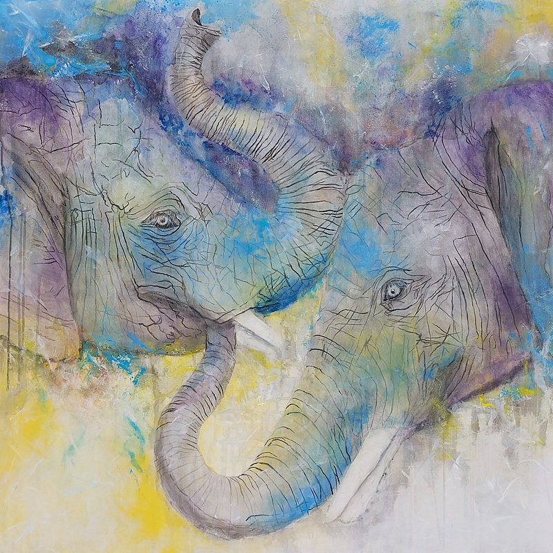 Elephants 