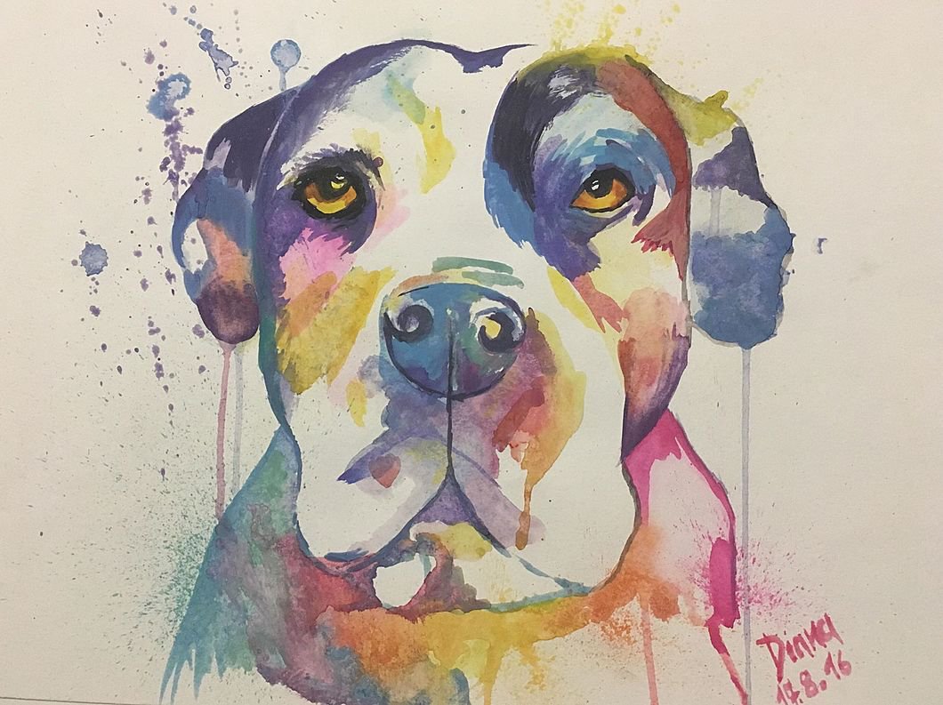 The DOG