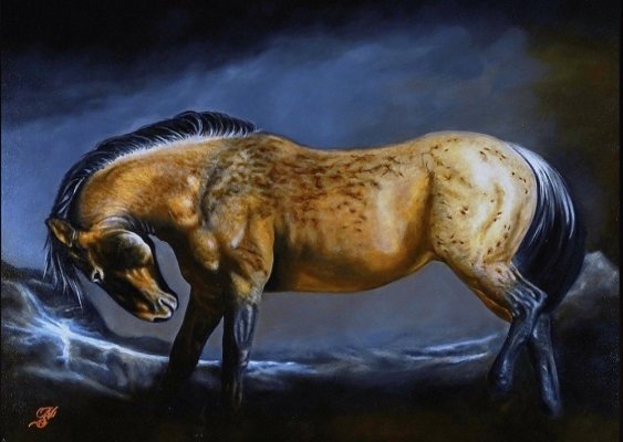 MUSTANG