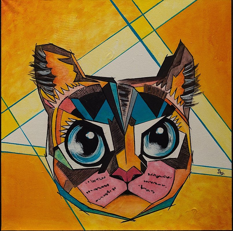 Angry Cat