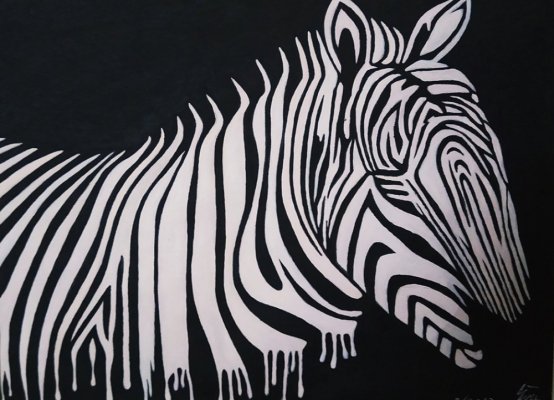 Zebra