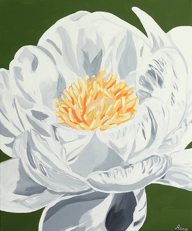 Květ pivoňky