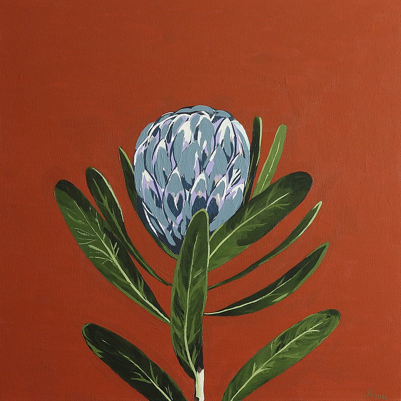 Protea