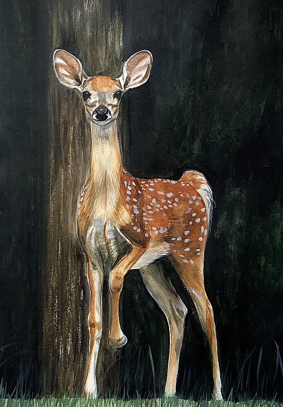 Bambi
