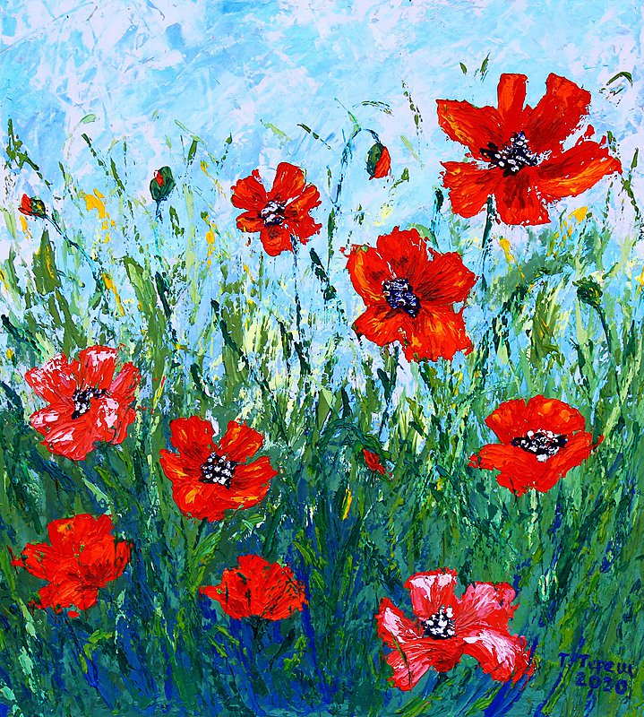 Red Poppies