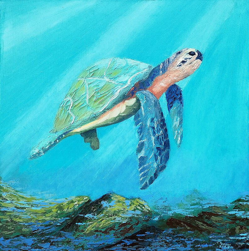 A Sea Turtle 