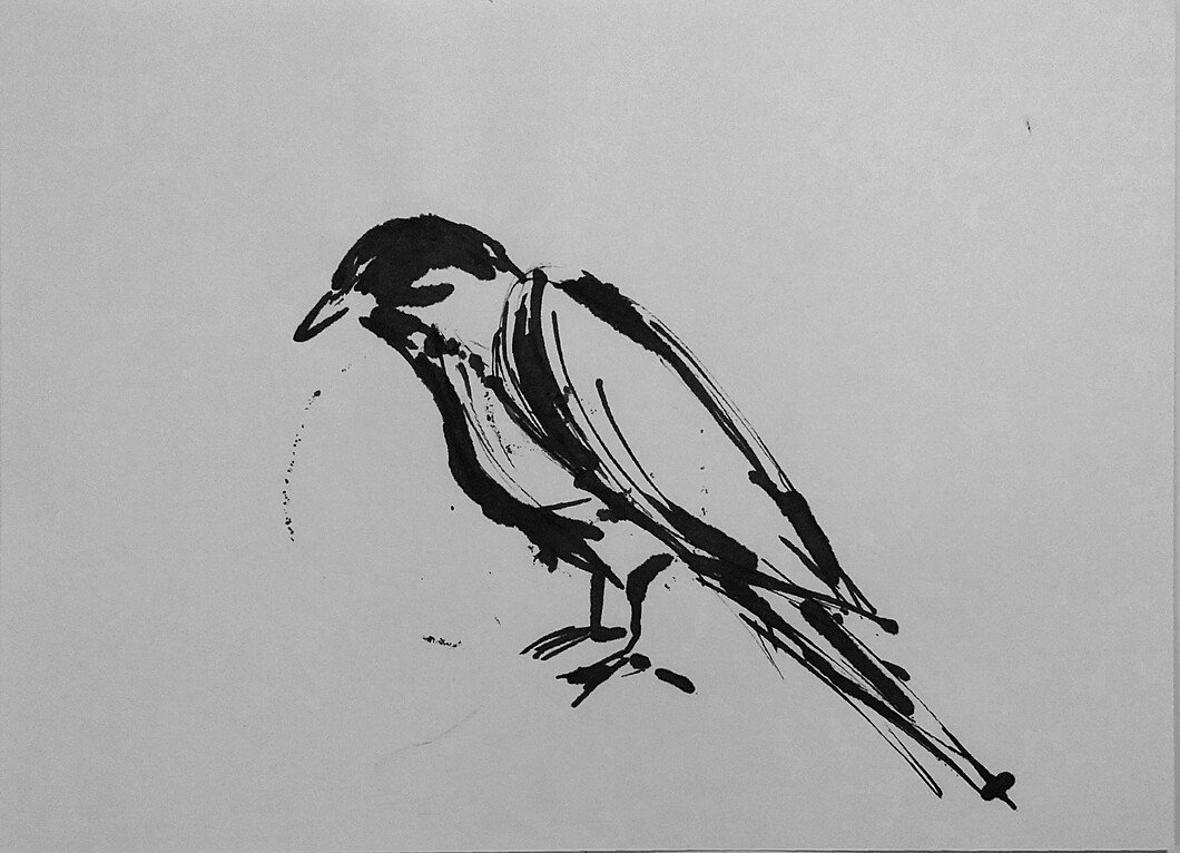 Simple black raven