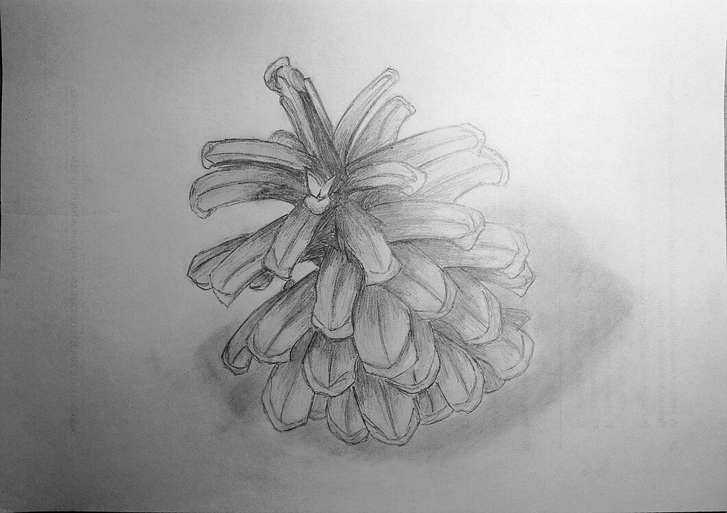 Quick sketch