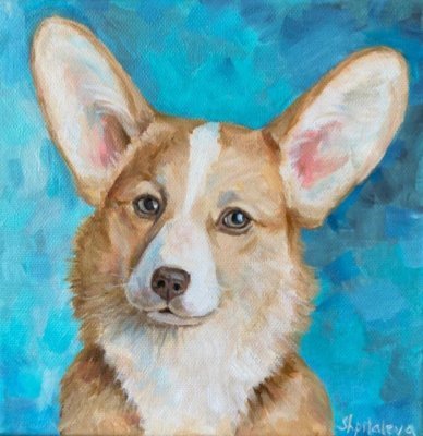 Corgi