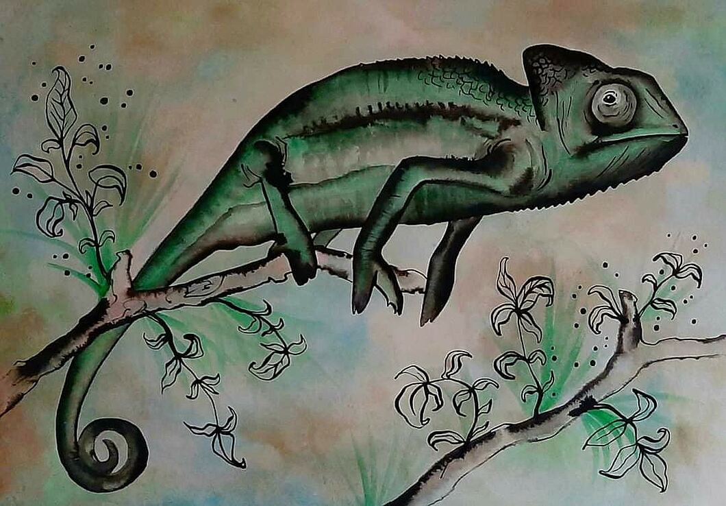 Chameleón jemenský