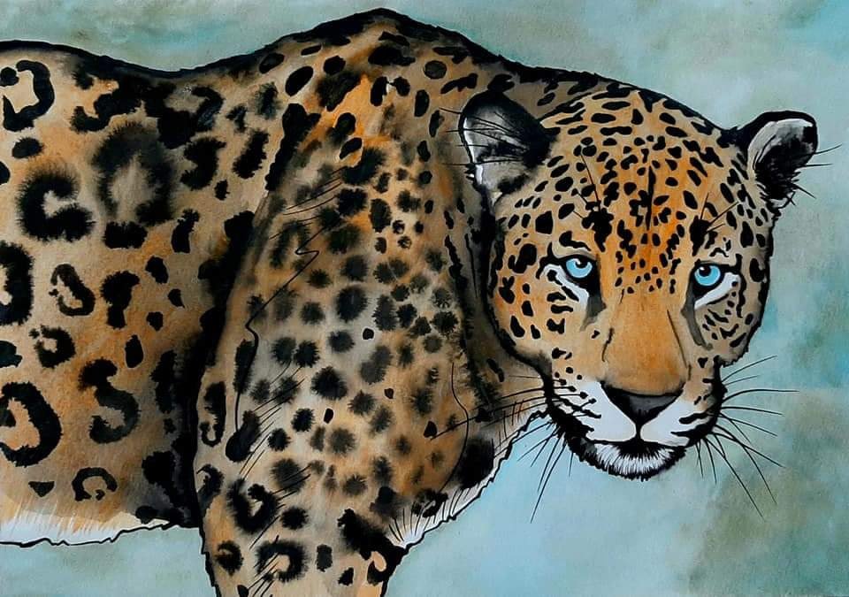 Jaguár
