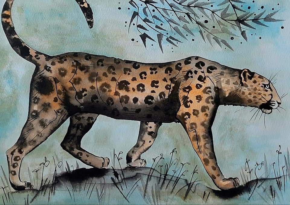 Jaguár
