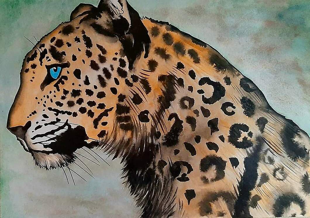 Jaguár