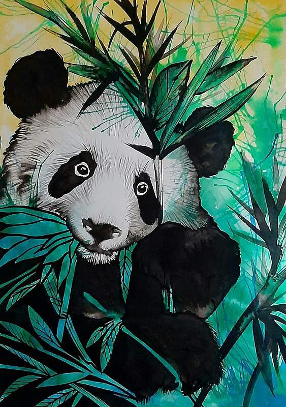 Panda