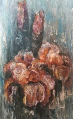 Iris