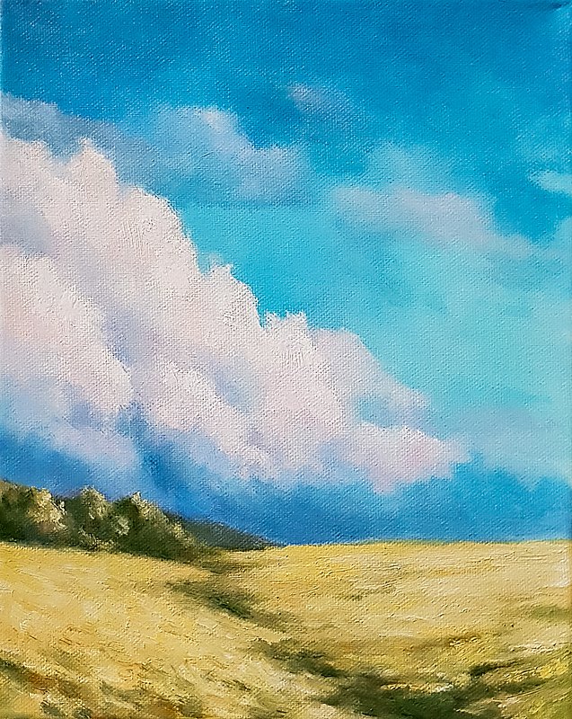 Clouds over the field