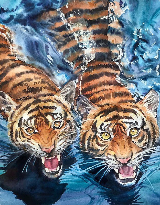Tigers