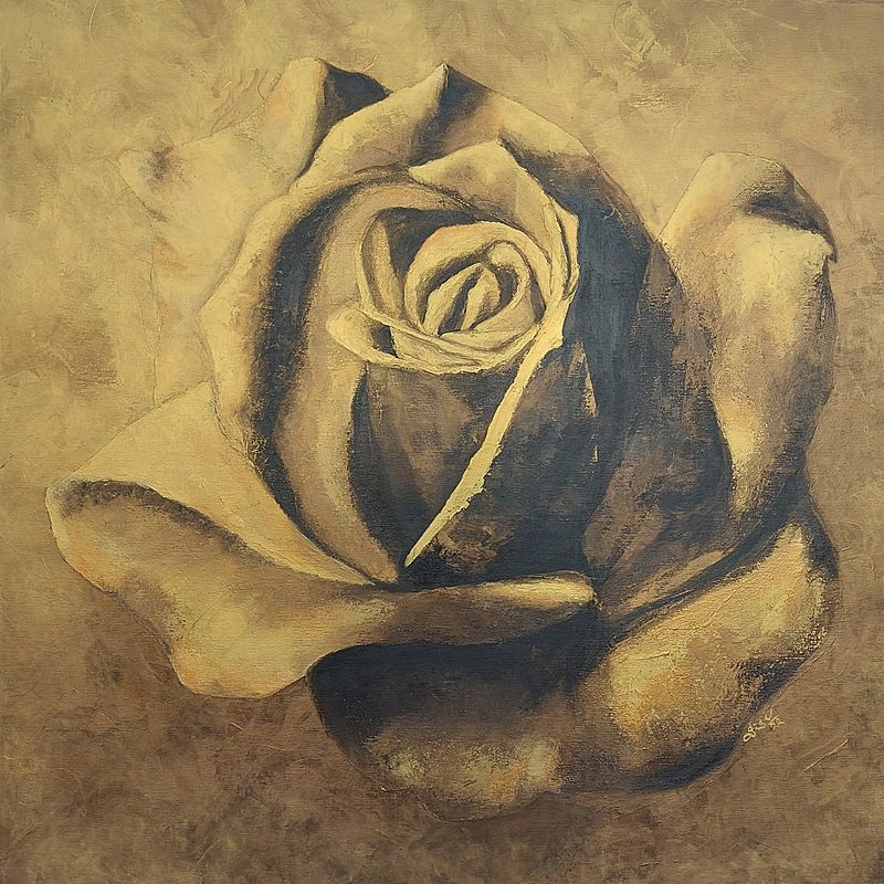 ROSA AUREA
